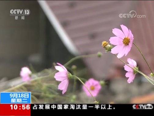 ֱ  20180918 10:00  
