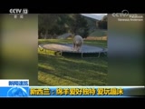 ֱ  20180809 15:00  