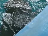 ֱ  20180725 10:00  