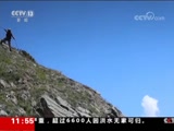 ֱ  20180725 11:00  
