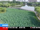 ֱ  20180702 14:00  