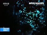 ֱ  20180519 14:00  