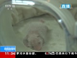 ֱ  20180612 11:00  