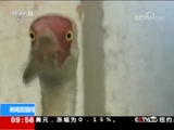 ֱ  20180614 09:00  