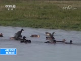 ֱ 20180419 17:00  