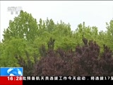 ֱ  20180423 16:00  