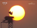 ֱ 20180331 16:00  