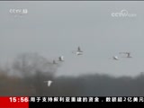 ֱ  20180401 15:00  