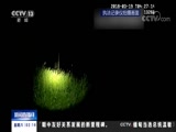 <b>ֱ 20180331 02:00  </b>