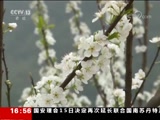 ֱ  20180316 16:00  