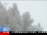 ֱ  20180127 14:00  