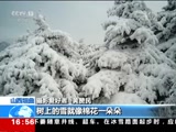 ֱ  20180128 16:00  