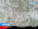 ֱ 20180112 11:00  
