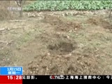 ֱ  20180115 15: 00 