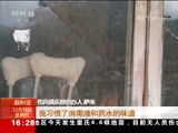 ֱ  20171231 16:00  