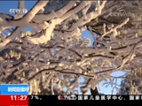 ֱ  20171218 11:00  