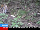 ֱ 20171207 10:00  