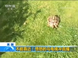ֱ 20171117 15:00  