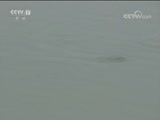 ֱ 20171115 15:00  