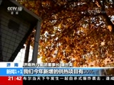 1+1 20171116 