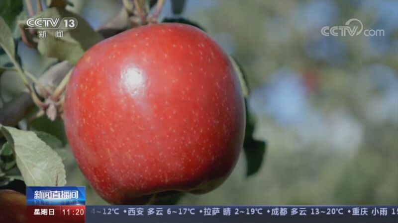 <b>ֱ 20201101 11:00 </b>