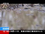   20180213  ι