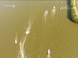 ʱ  20180704  Ƶ
