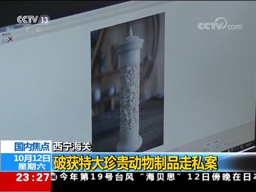 24Сʱ 20191012 Ƶ