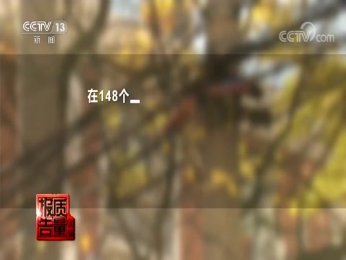 ÿ���������� 20191117 סլС