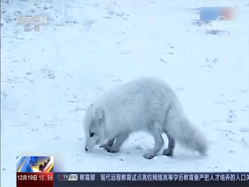 ֱ 20191219 10:00 
