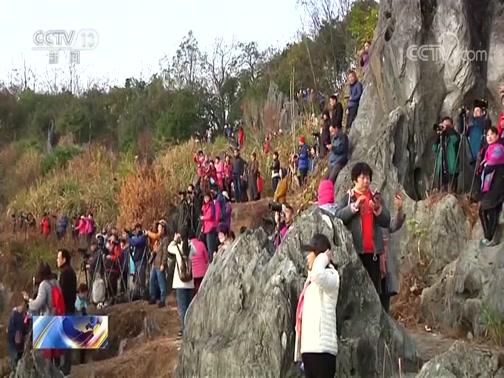 ֱ 20191117 16:00 