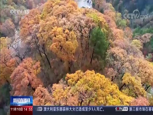 ֱ 20191110 14:00 