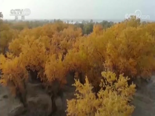 ֱ 20191025 13:00 