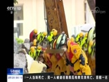 <b>ҹ 20180212  Ƶ</b>