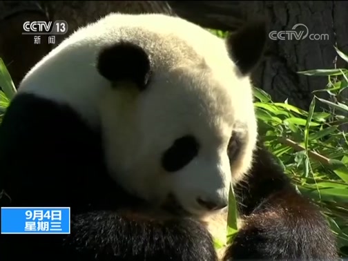 ֱ 20190904 10:00 