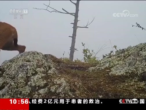 ֱ 20190906 10:00 