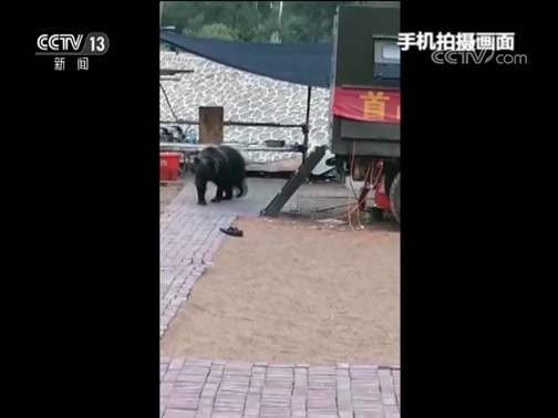ֱ 20190815 13:00 