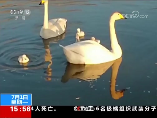 ֱ 20190701 15:00 