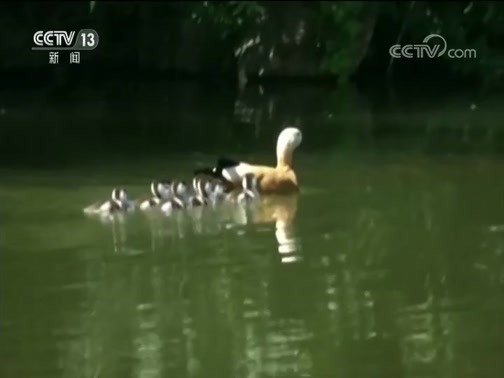 ֱ 20190626 14:00 