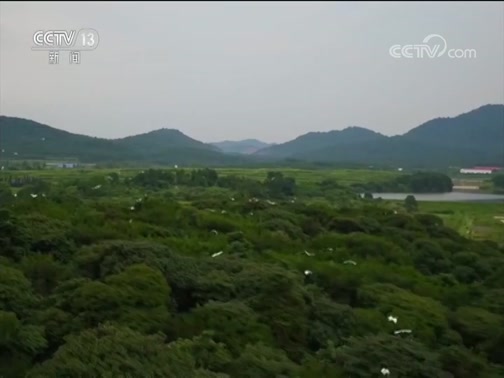ֱ 20190619 16:00 