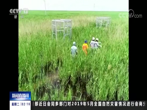 ֱ 20190611 02:00 