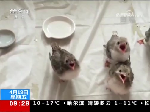 ֱ 20190419 09:00 