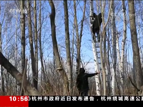 ֱ 20190415 10:00 