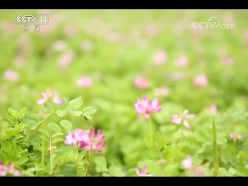ֱ 20190402 15:00 