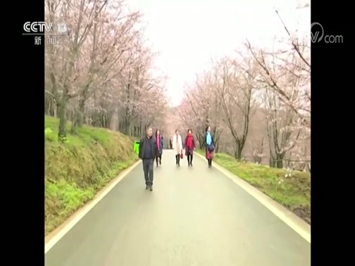 ֱ 20190316 01:00 