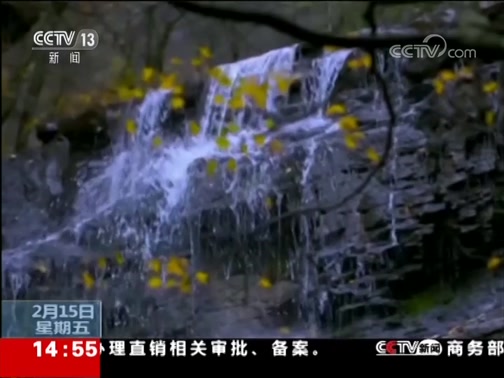 ֱ 20190215 14:00 