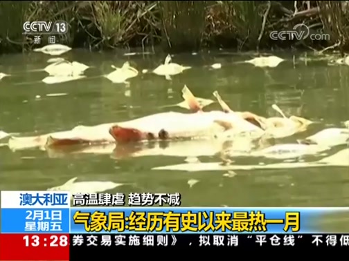 ֱ 20190201 13:00 