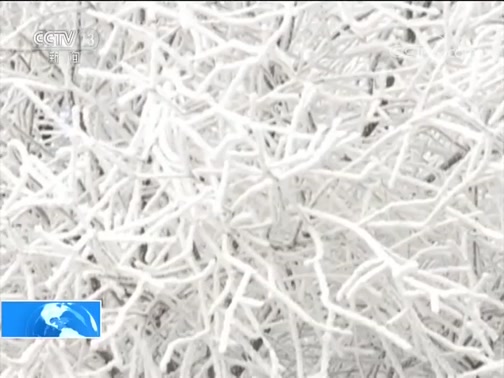 ֱ 20181211 14:00 